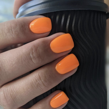 Виолетта Ялынна, Київ Фото - 5