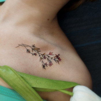 Татуювання
                    Майстер перманентного макіяжу Христина Трускавець