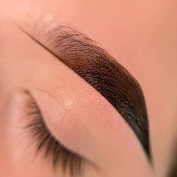 Корекція + фарбування брів
                    Салон красоты NS beauty studio Одесса