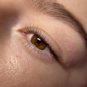 Ламінування вій
                    Бровист Аня Ровно