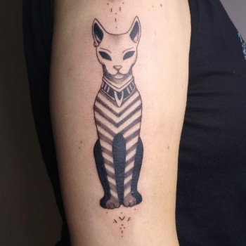 Тату на плечі кішка сфінкс, фото - Майстер перманентного макіяжу Юлія Усатенко