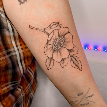 Татуювання
                    Мастер перманентного макияжа Анна Киев