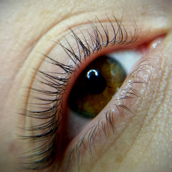 Ламинирование ресниц + Ботокс
                    Косметолог-естетист Виктория Харків