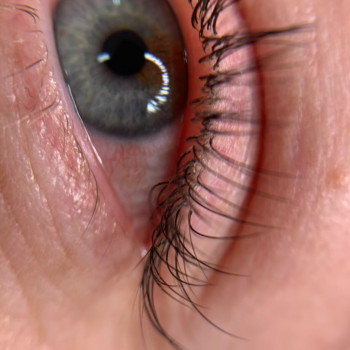 MBar, Вишневе Фото - 5