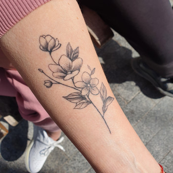 Людмила Сірко, Винница Фото - 25