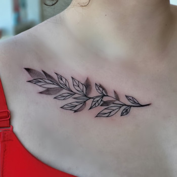 женские, ветка, ветвь, на ключице, тату на ключице, тату для девушек