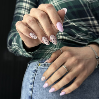 Сухоцвіти в дизайні