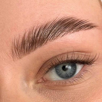 Фарбування + корекція + ламінування брів
                    Салон краси NS beauty studio Одеса