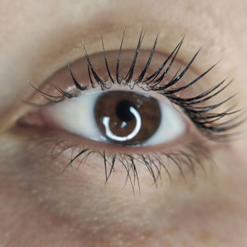 Ламинирование ресниц
                    Мастер перманентного макияжа Наталия Каменское