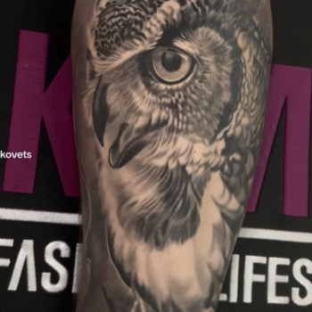 Тату реализм сова грейвош, фото - Тату салон Free Art Tattoo