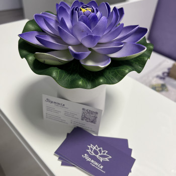 Студія Гармонія Марʼяни Костик: Косметологія обличчя та тіла, Львов Фото - 9