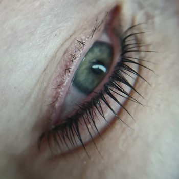 Ламинирование ресниц
                    Майстер перманентного макіяжу Anna Дніпро