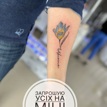 Міні тату
                    Майстер перманентного макіяжу Игорь Біла Церква
