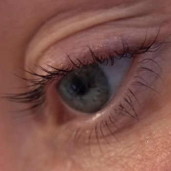 Персона, Кривий Ріг Фото - 22