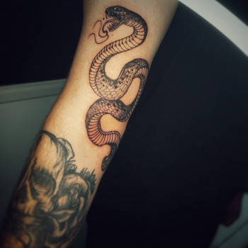 Марк , Київ Фото - 17