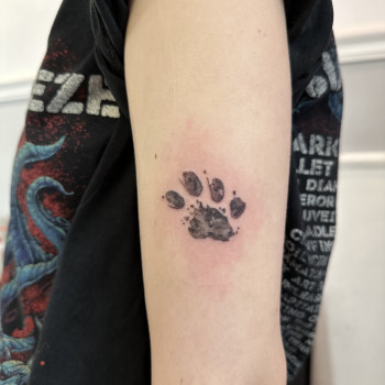 Євген Паламарчук, Киев Фото - 6