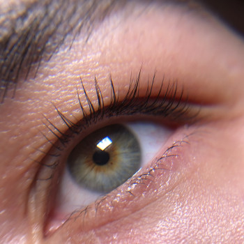 Ламінування вій з фарбуванням
                    Бровист Людмила Киев