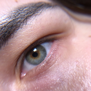 Ламінування вій з фарбуванням
                    Бровист Людмила Киев