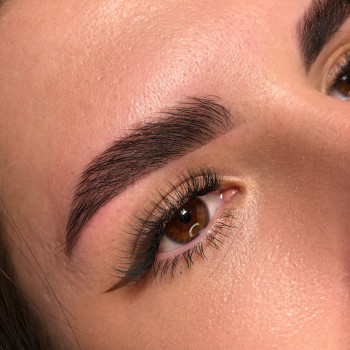 Фарбування фарбою/хною
                    Бровист Людмила Киев