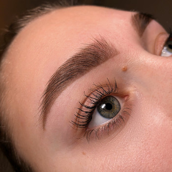 Фарбування фарбою/хною
                    Бровист Людмила Киев