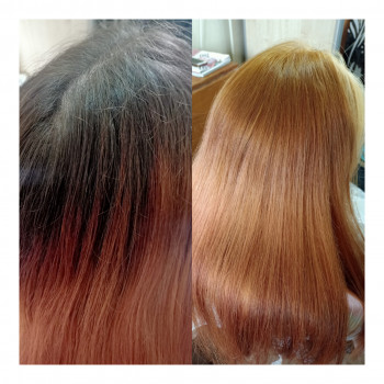     відновлення