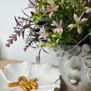 Ферментотерапія
                    Масажний салон Terra SPA Вишневе