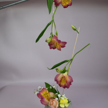 Жанна Підлипняк, Одеса Фото - 3