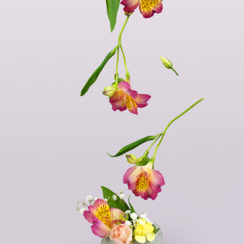 Жанна Підлипняк, Одеса Фото - 22