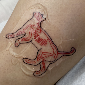 Алина Цехмейструк, Київ Фото - 18