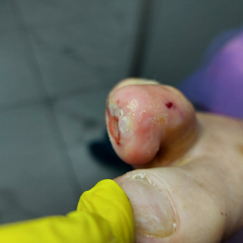 Елена Баскова, Суми Фото - 83