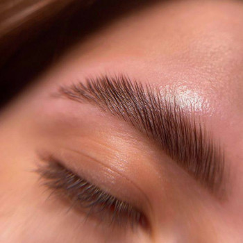 Фарбування + корекція + ламінування брів
                    Салон краси NS beauty studio Одеса