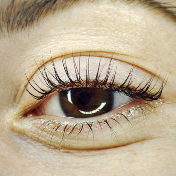 Фото з портфоліо майстра Анна Гальчанська (майстер перманентного макіяжу, Запоріжжя)