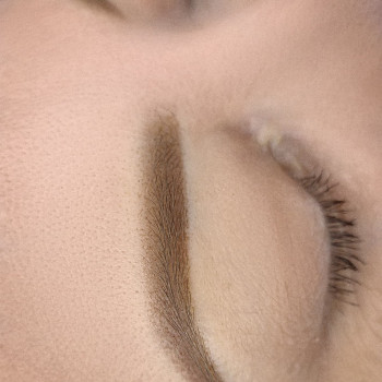 Фото з портфоліо майстра Анна Гальчанська (майстер перманентного макіяжу, Запоріжжя)