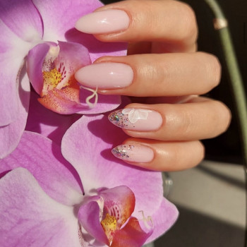 Манікюр
                    Салон красоты  Киев