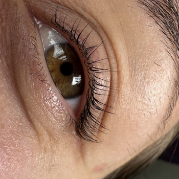 Комплекс "Ламінування вій + корекція та фарбування брів"
                    Бровист Каріна Киев