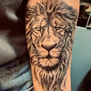 Владимир Сорока, Киев Фото - 3