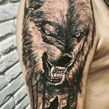 Владимир Сорока, Киев Фото - 4