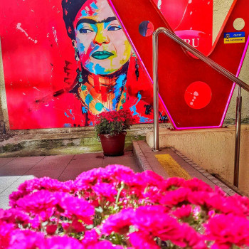 рожевий - колір мрій та чудес!