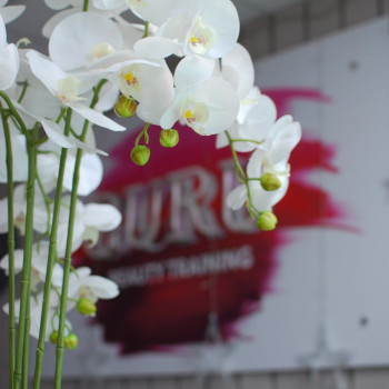 простір затишку та спокою