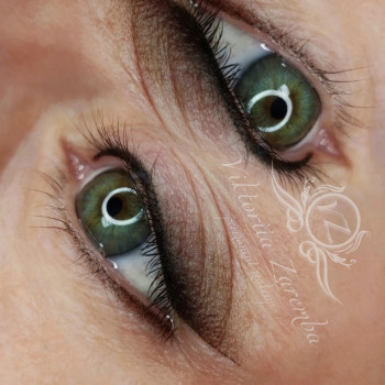 Перманентний макіяж татуаж
                    Мастер перманентного макияжа Вікторія Луцк