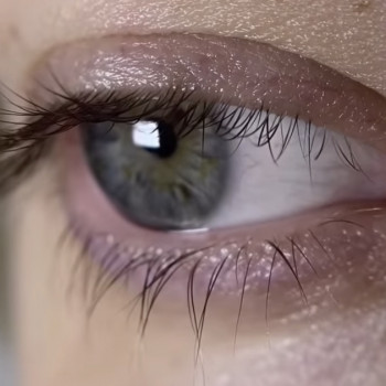 До процедури