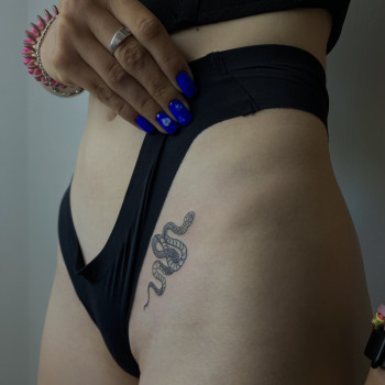 змія, мінітату київ