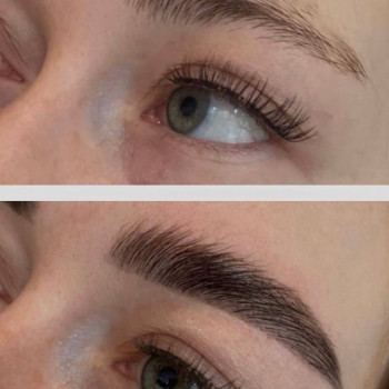 Корекція + фарбування брів
                    Салон красоты NS beauty studio Одесса