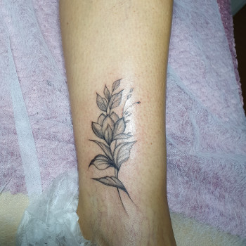 Тату на ніжці , 11 см.
1000 грн