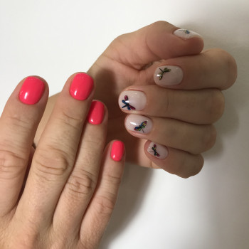 Danika, Киев Фото - 36