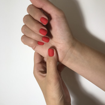 Danika, Киев Фото - 39