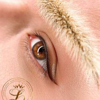 Перманентный макияж
                    Бровист Виктория Николаев