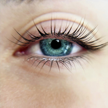 Ламінування вій
                    Бровист Виктория Николаев