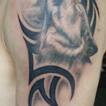 Олексій Баранов, Кам'янське Фото - 19