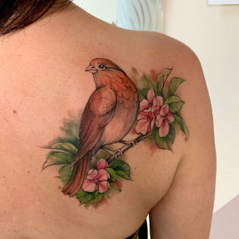 Татьяна Радуга , Вінниця Фото - 27